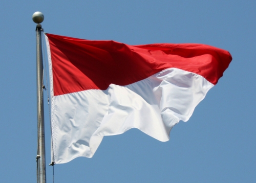 Indonesia eyes e-commerce ban for under-16s