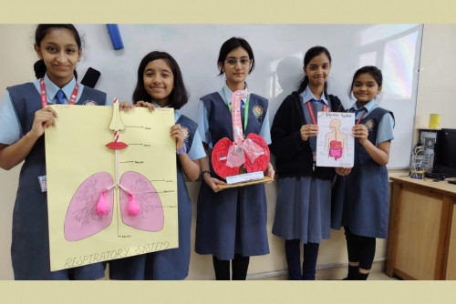 New Millennium School marks Science and Computer Science Week with hands-on learning