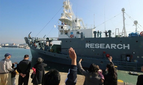 Japan kills 177 whales in Pacific campaign
