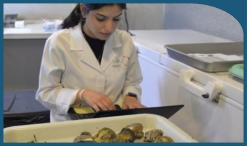 DANAT launches Taaleq summer internship DANAT launches Taaleq summer internship