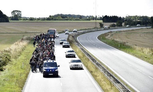 Sweden could take in more migrants