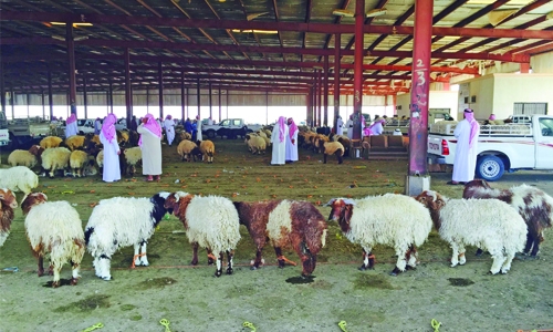 Bahrain slaughterhouse reopens