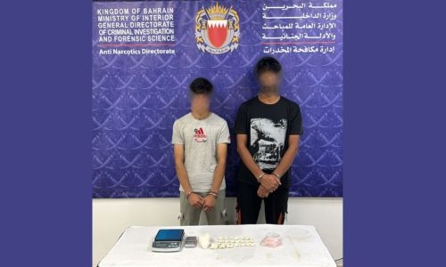 Drug dealers arrested