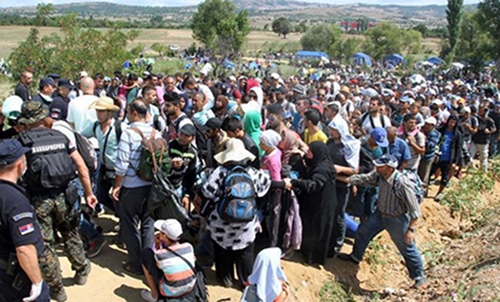 EU fears migrants could be used as drug mules