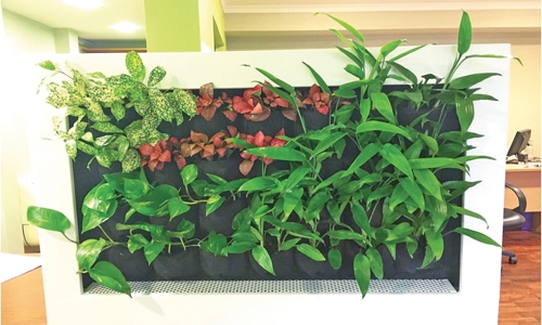 Architect of change! Architect of change!