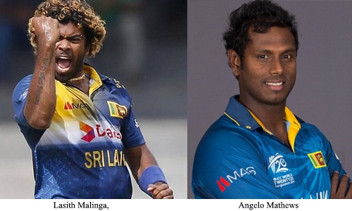 Sri Lanka recall Malinga, Mathews for WT20 Sri Lanka recall Malinga, Mathews for WT20