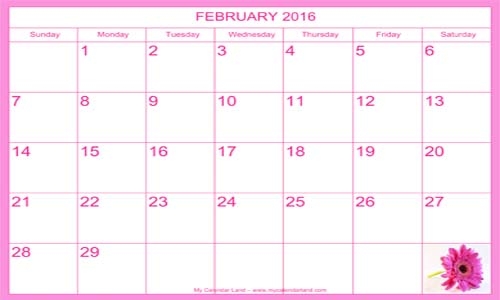 4 weekends this February… happens once every 823 years? 4 weekends this February… happens once every 823 years?