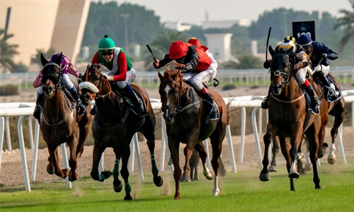 REHC to host back-to-back days of racing this weekend REHC to host back-to-back days of racing this weekend