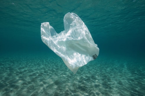 Bahrain’s eco-friendly move to promote plastic alternatives