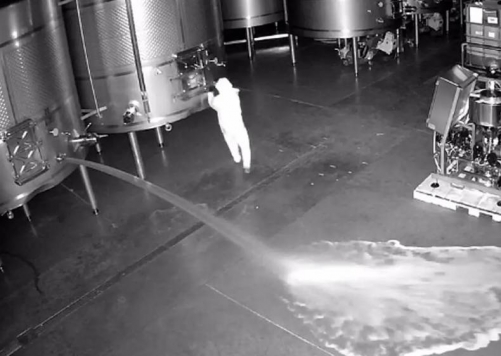 Intruder at Spain winery pours away wine worth $2.7 million
