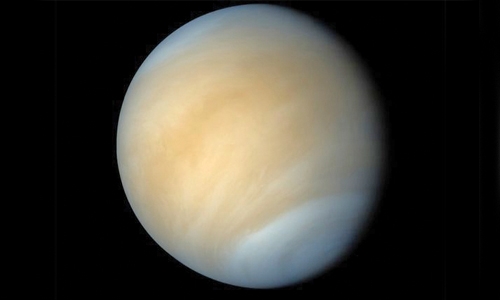 Dark splotches on Venus could be signs of life