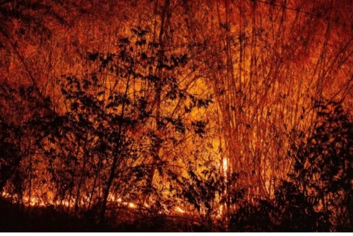 Blood clots, burning eyes: pollution chokes north Thailand