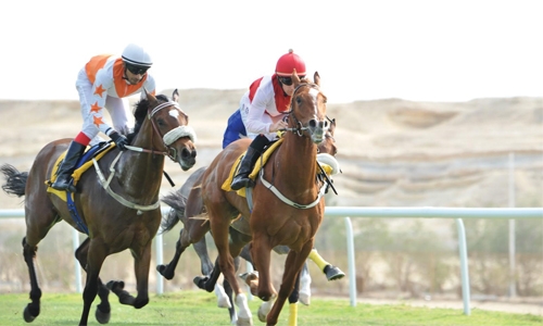 Fast and favourite Fast and favourite