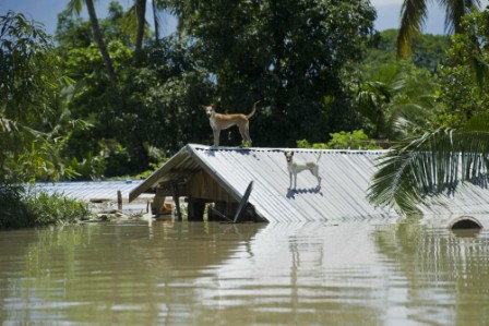 Rains heap misery on Asia