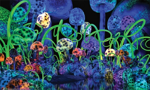 Magic-mushroom boosts cancer patients’ mindset Magic-mushroom boosts cancer patients’ mindset