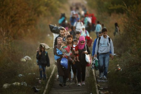 Anger as Hungary seals borders, Merkel demands refugee summit
