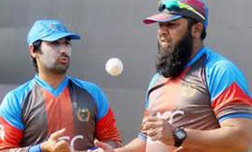 Afghanistan national coach Inzamam resigns Afghanistan national coach Inzamam resigns