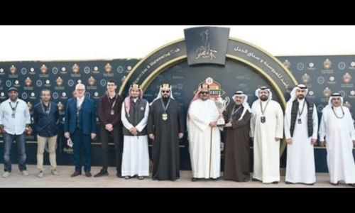 Instinctive Move, The Covex Kid lift NBB Cups Instinctive Move, The Covex Kid lift NBB Cups