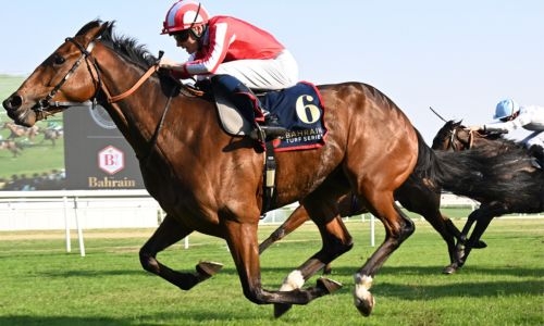 The Crown Prince’s Cup set The Crown Prince’s Cup set
