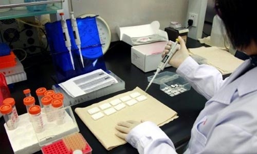 Promising immunotherapy helps adults with leukemia