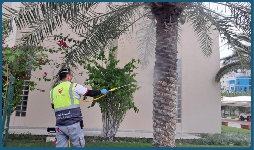 National campaign steps up efforts to curb mosquito spread