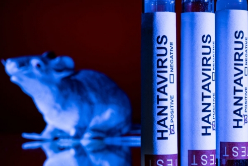 WHO confirms 8 cases of Andes hantavirus in outbreak WHO confirms 8 cases of Andes hantavirus in outbreak