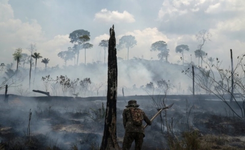 Amazon continues to burn in 2020 despite promises to save it