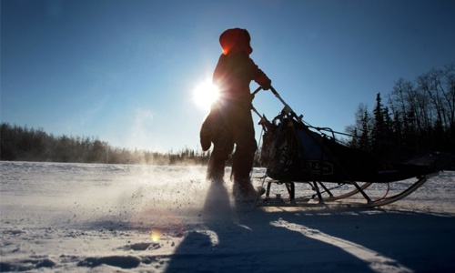 Alaska's tundra releasing more CO2 than it takes in