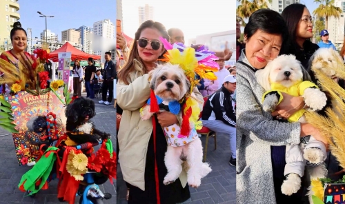 Pets Parade in Style at Hala Bira Festival, Supporting Animal Welfare