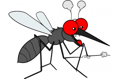 Record number of mosquitoborne disease outbreaks in Europe: health agency 