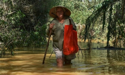 Vietnam recent typhoons caused 192 deaths, $1.3 billion damages