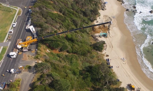 Whale carcass dug up from Australian beach over shark fears Whale carcass dug up from Australian beach over shark fears