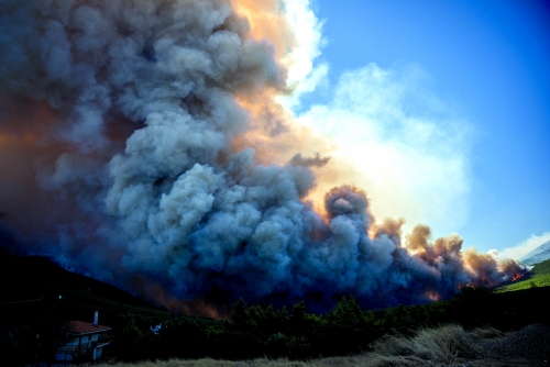 Greek mayor among three charged over wildfire near Athens