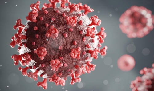 Could It Be Another Pandemic? China Scientists Identify New Bat Coronavirus with Human Transmission Risk