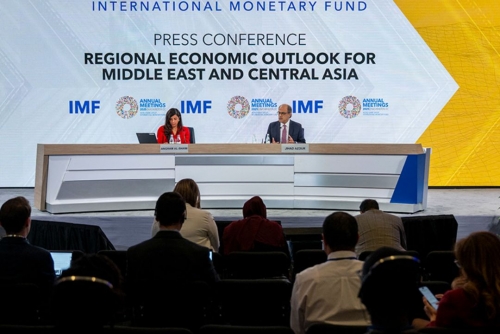 IMF says growth accelerating in Middle East, North Africa 