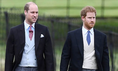 William, Harry lead tributes to mother Diana, 20 years on