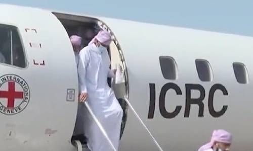 Arab coalition frees Yemen rebels in peace gesture