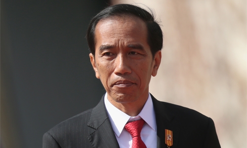 Indonesia president vows to fight EU palm oil rules