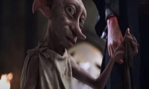 Environmental officials urge Harry Potter fans in UK not to leave socks at Dobby's memorial site Environmental officials urge Harry Potter fans in UK not to leave socks at Dobby's memorial site