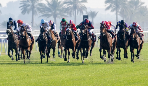 World renowned trainer George Baker aiming high in Bahrain Turf Series