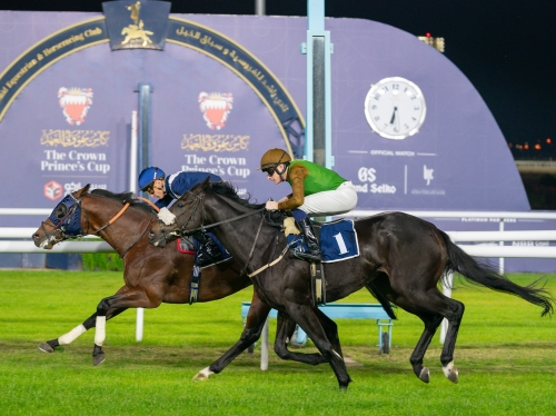 The Crown Prince’s Cup Festival Gets Underway with Elite Horses and a Diverse Lineup of Events