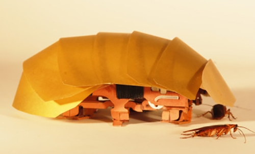 Scientists build Cockroach-inspired robots Scientists build Cockroach-inspired robots