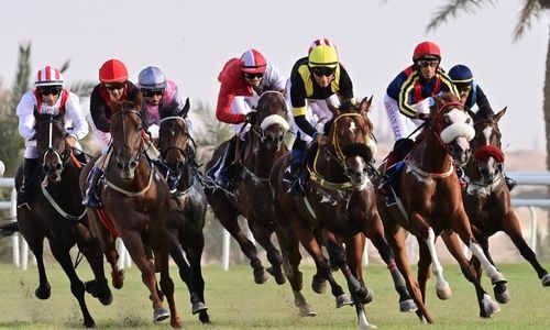 Back-to-back days of horseraces set