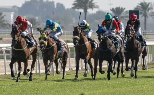 Eight-race card today at REHC Eight-race card today at REHC