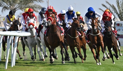 Bahrain Turf Series finale set Bahrain Turf Series finale set
