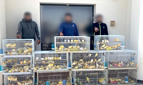 Police arrest three over BD12,000 pet store theft