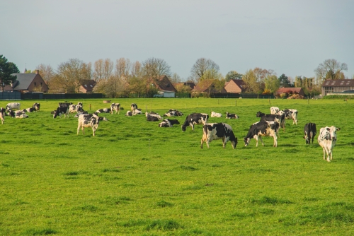 49 Killed In Deadly South Sudan Cattle Raid