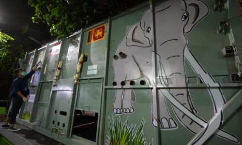 Neglected elephant touches down in Thai homeland after flight Neglected elephant touches down in Thai homeland after flight