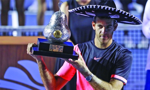 Del Potro captures title Del Potro captures title