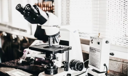 Humanin Peptide and the Landscape of Mitochondrial Signaling Research
